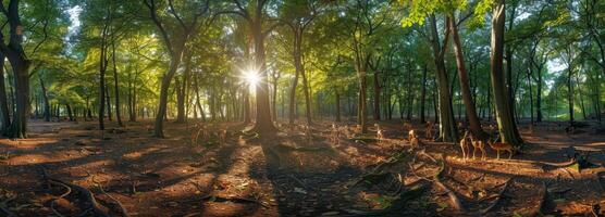 Deer Grazing in a Sun-Dappled Forest at Dawn photo