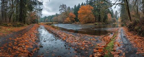 A Foggy Autumn Road Leading to a Calm River in the Pacific Northwest photo