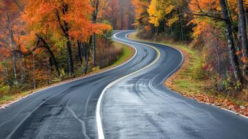 Winding Asphalt Road Through Autumn Forest Landscape photo