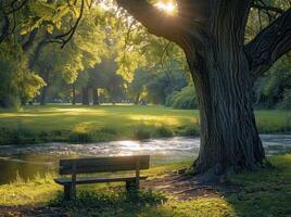 Tranquil Sunset View of a Creek in a Green Park photo
