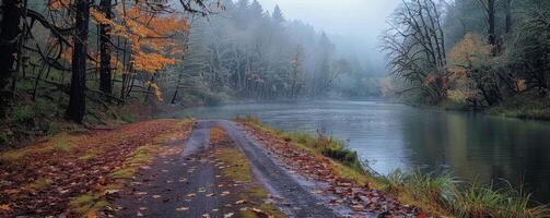 A Foggy Autumn Road Leading to a Calm River in the Pacific Northwest photo