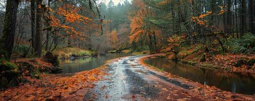A Foggy Autumn Road Leading to a Calm River in the Pacific Northwest photo