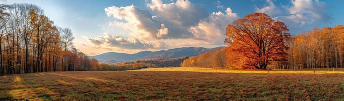 Autumn Landscape With Colorful Trees and Blue Sky in the Mountains photo