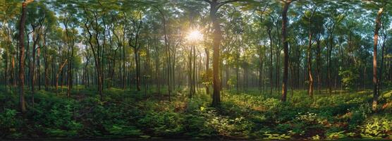 Deer Grazing in a Sun-Dappled Forest at Dawn photo