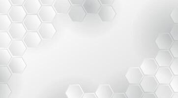 abstract polygon background . for banner backgrounds vector