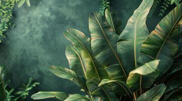 Lush Green Banana Leaves Against a Smooth Green Wall photo