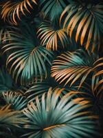 Close Up Of Palm Tree Fronds In A Tropical Setting photo