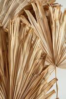 Close Up of Light Beige Palm Leaf Fan photo