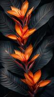 Orange Flowers Blooming Against Dark Green Leaves photo