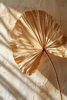 Close Up of Light Beige Palm Leaf Fan photo