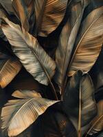 Close-Up View of Large Green and Brown Banana Leaves in a Tropical Forest photo