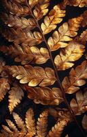 Golden Fern Fronds Close Up photo