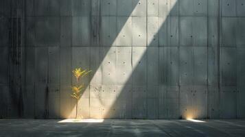 Sunlight Streaks Through A Concrete Room photo