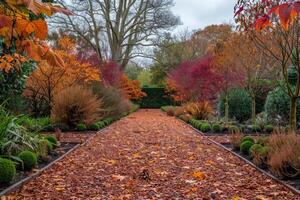 Autumnal Pathway Through a Garden in Fall Colors photo