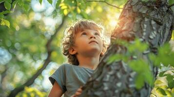 A young boy with curly hair climbs a tree, gazing up at the sky photo