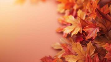 A close-up of autumn leaves with warm lighting photo