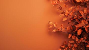 A single branch with orange leaves against a vibrant orange background photo