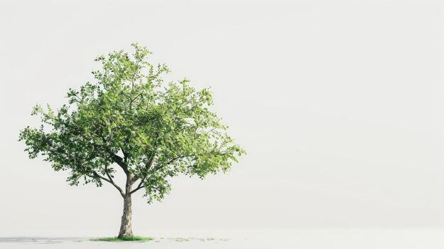un soltero árbol soportes fuera en contra un limpiar blanco antecedentes foto