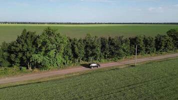 An aerial view of a car driving on a dirt road through a field of green grass. The road is lined with trees on one side and a vast green field on the other. The sun is shining brightly video