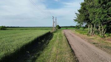 A scenic drive through the Latvian countryside, featuring a dirt road running alongside a field of wheat on a sunny summer day video