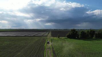 An aerial view of a tractor driving through fields of crops, with a dramatic, cloudy sky above video