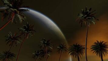 Palm trees against the night sky and a huge moon. Seamless loop. 3d animation. video