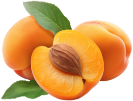 Apricots with a half cut apricot isolated on a transparent background png