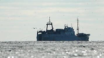 Fishing boat trawler catches fish while sailing on sea. A commercial fishing boat on the horizon in a distance sail to catch school of fish on calm sea surface in summer. Commercial catch of sea fish. video