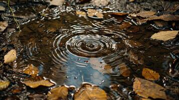 water drop in Autumn, A Serene Puddle Capturing Nature Calm photo