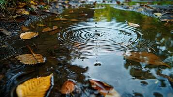 water drops on the water and beautiful environment photo