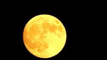 Glowing yellow huge full moon as seen from earth through the clouds against starry night sky. Large full moon moves across the sky, moon makes its way from bottom left frame to top right. video