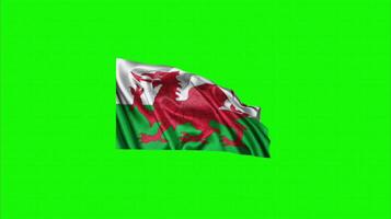 Wales flag on green screen background. Seamless looping 4k time-lapse animation background video