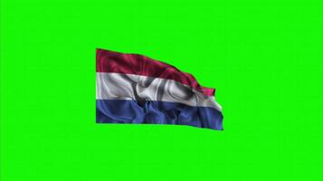 Dutch flag on green screen background. Seamless looping 4k time-lapse animation background video