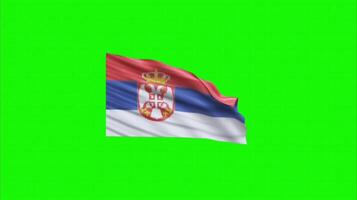 Serbian flag on green screen background. Seamless looping 4k time-lapse animation background video