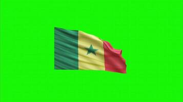 Senegal flag on green screen background. Seamless looping 4k time-lapse animation background video