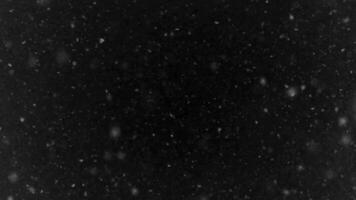 Snowfall on a black background. Seamless looping 4k time-lapse animation background video