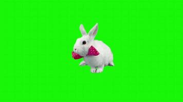 Rabbit on a green background. Seamless looping 4k time-lapse animation background video