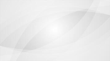 White and Black color geometrical abstract design complex pattern elegant loop able background video