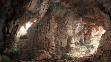 Ancient Cave With Rocks and Trees video