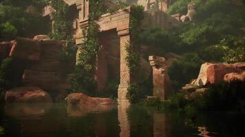 Ancient Building Covered in Vines video