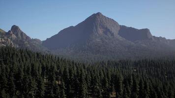 A view of a mountain range with trees in the foreground video