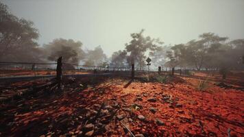 Red Dirt Field With Fence and Trees video