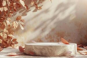 Beige Wall With Autumn Leaves and a Circular Platform photo