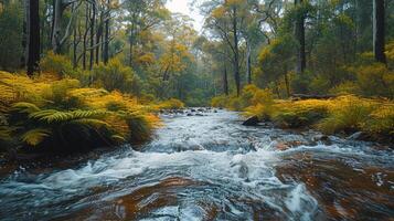 Aerial View of a Winding River Flowing Through Lush Green Rainforest at Dawn photo