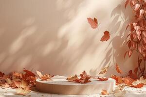 Beige Wall With Autumn Leaves and a Circular Platform photo
