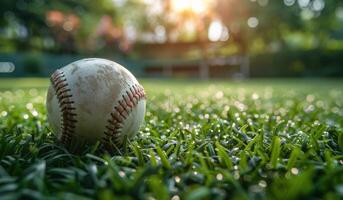 A Baseball Resting on Green Grass on a Sunny Day photo
