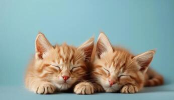 Two Ginger Kittens Napping Together on a Blue Surface photo
