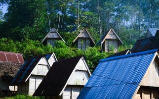 Simple houses in the countryside with a backdrop of tall trees and clear skies photo