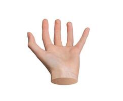 Cup-shaped and holding, taking something invisible, gesture, sign isolated on white background photo