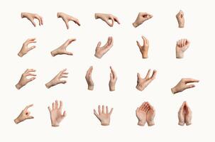 Hand gesture set, various signs. White background, isolated different arm positions. Palm, fist photo